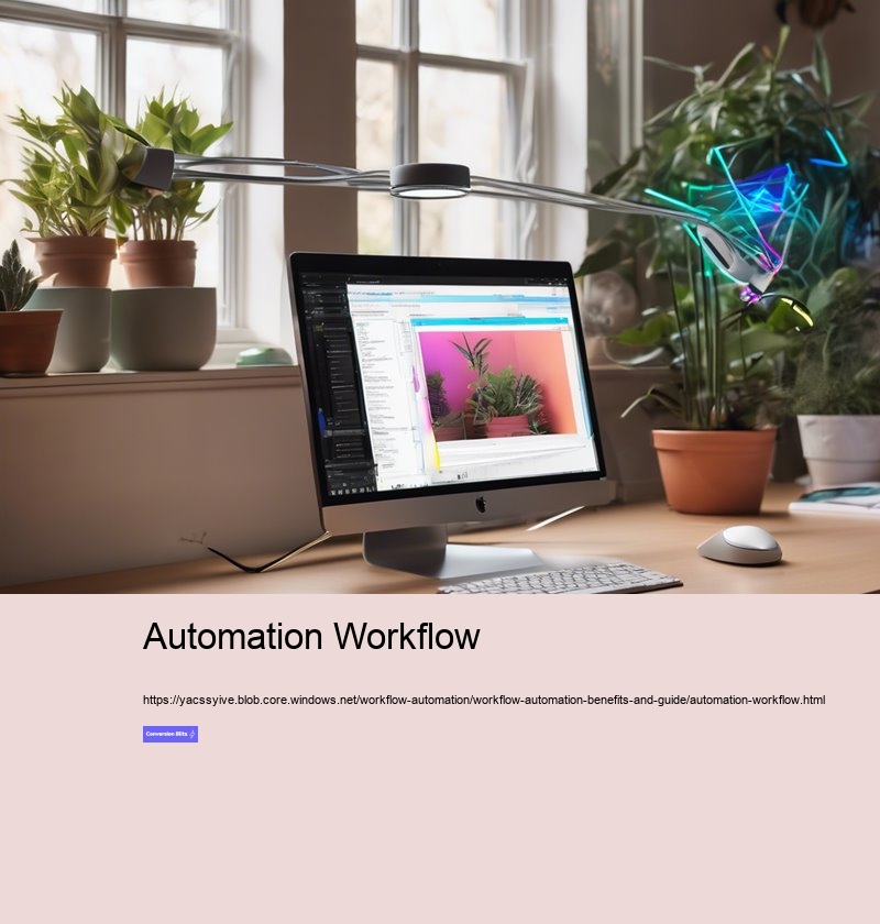 Automation Workflow