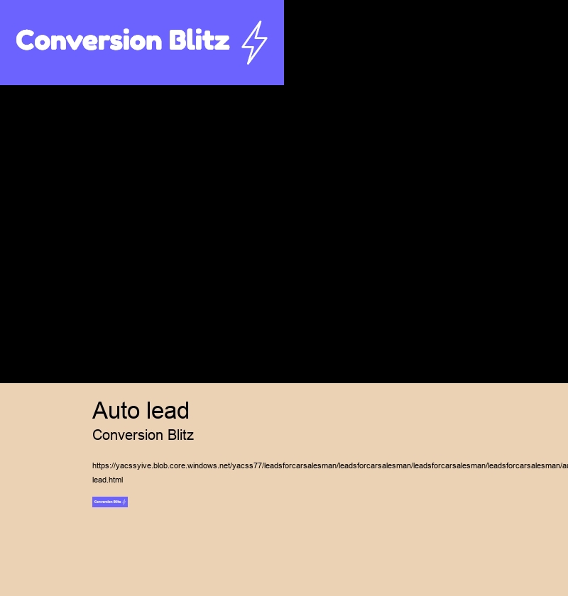 auto lead Conversion Blitz leads for car salesman