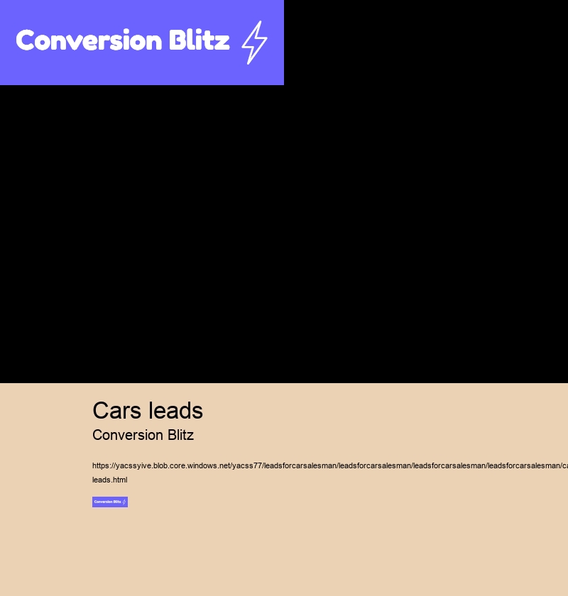 cars leads Conversion Blitz leads for car salesman