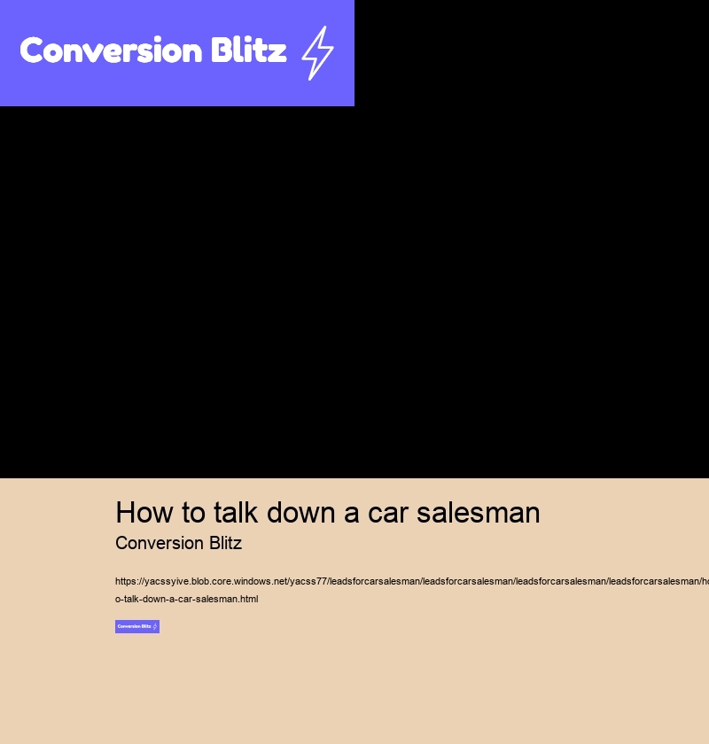 how to talk down a car salesman Conversion Blitz leads for car salesman